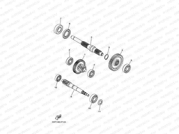 TRANSMISSION