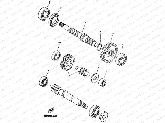 TRANSMISSION
