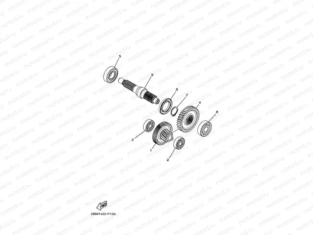 TRANSMISSION