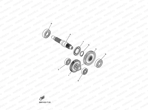 TRANSMISSION