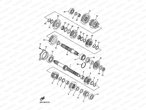TRANSMISSION