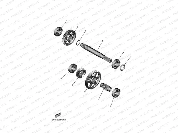 TRANSMISSION