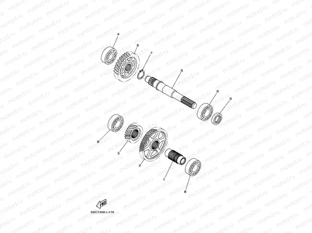 TRANSMISSION