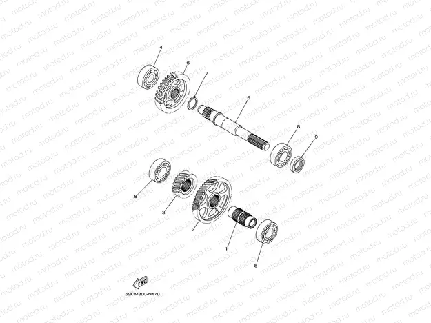 TRANSMISSION