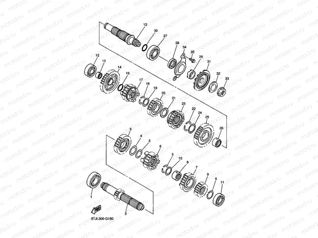 TRANSMISSION