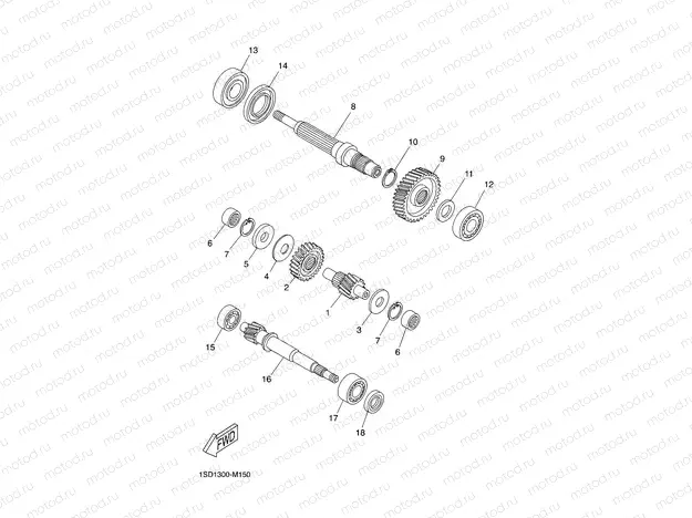 TRANSMISSION
