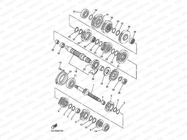 TRANSMISSION