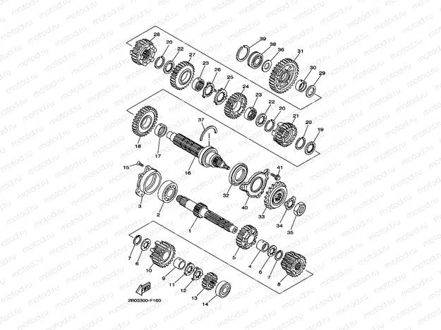 TRANSMISSION
