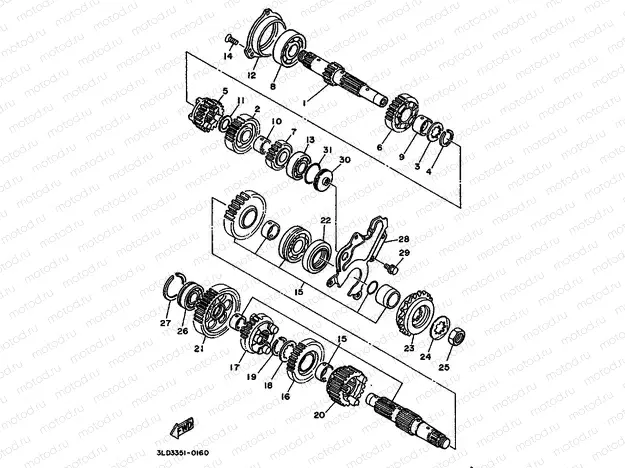 TRANSMISSION