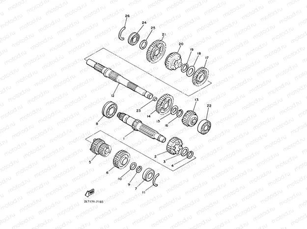 TRANSMISSION