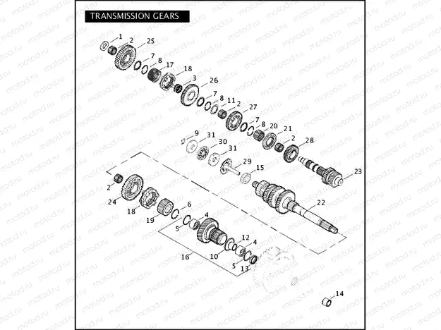 TRANSMISSION GEARS