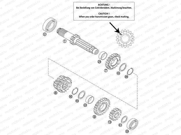 TRANSMISSION I - MAIN SHAFT