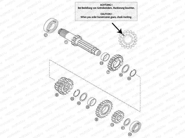TRANSMISSION I - MAIN SHAFT