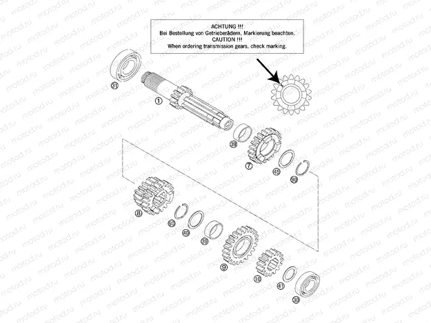 TRANSMISSION I - MAIN SHAFT