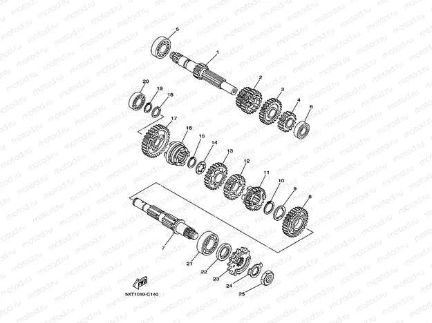 Transmitchillon