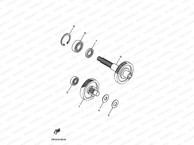 Transmitchillon