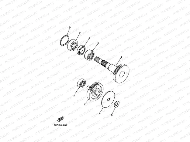 Transmitchillon