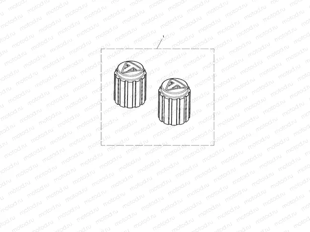 Valve Cap Kit, Laser Etch