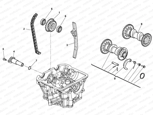 VALVE TIMING (TC)