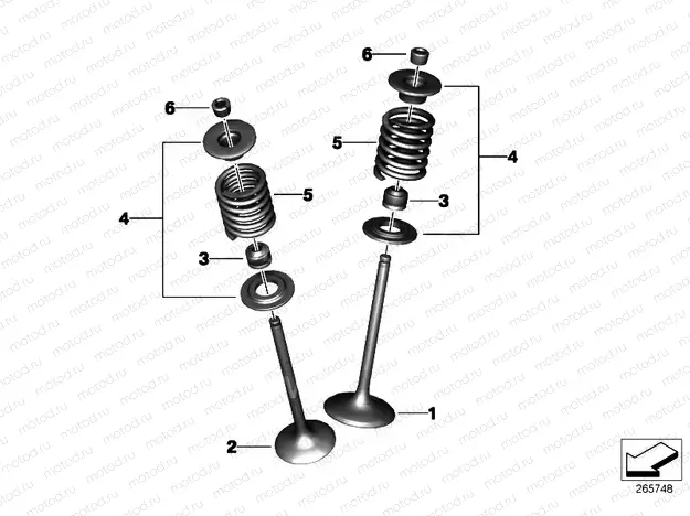 Valves with springs