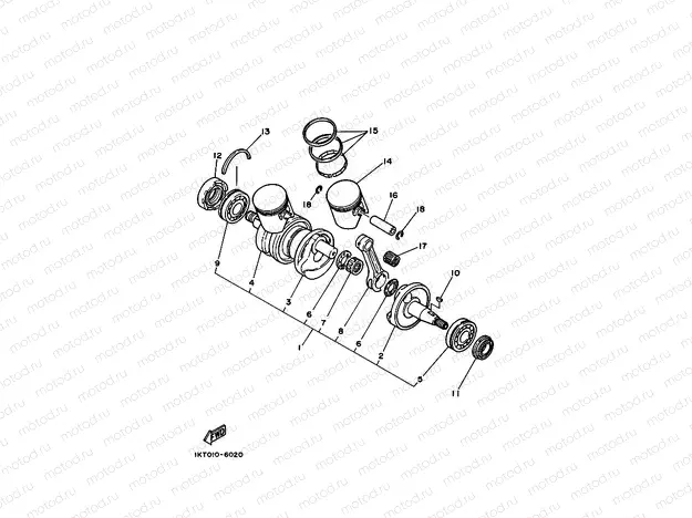 VILEBREQUIN & PISTON
