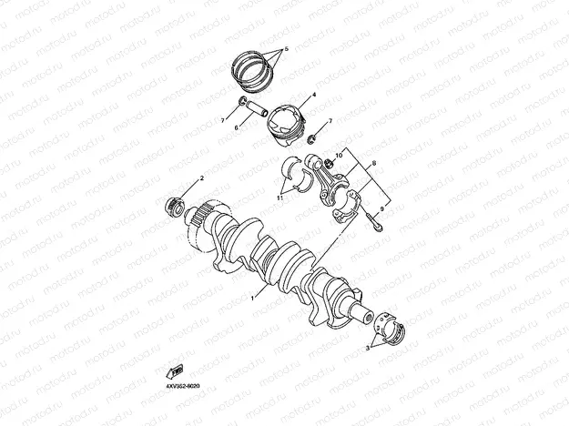 VILEBREQUIN & PISTON