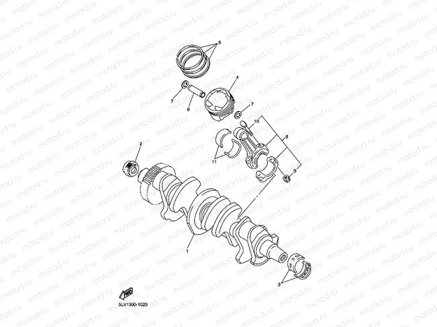 VILEBREQUIN & PISTON