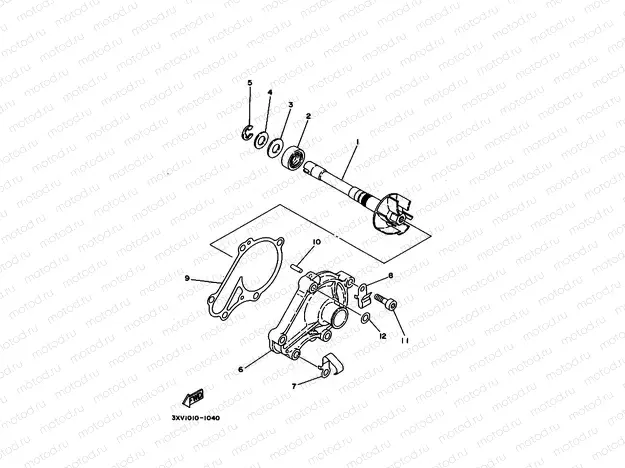 Water pump