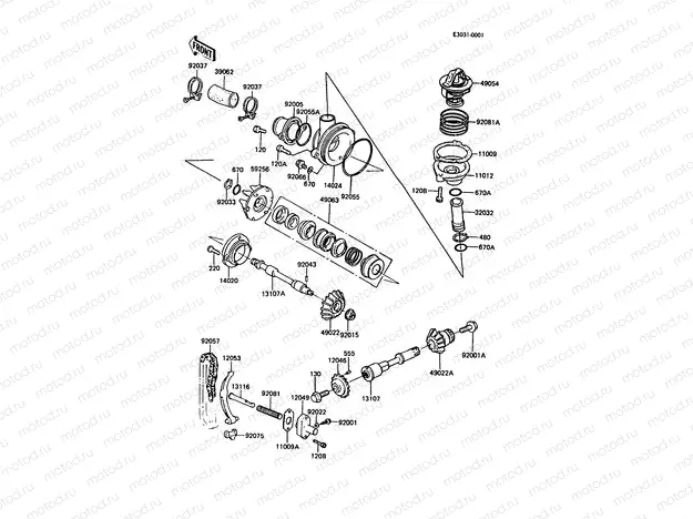 Water Pump