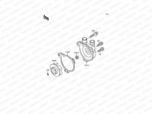 Water Pump