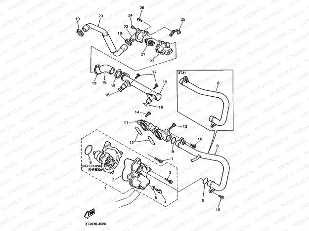 Water pump