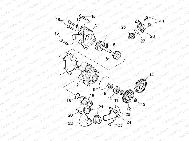 Water pump