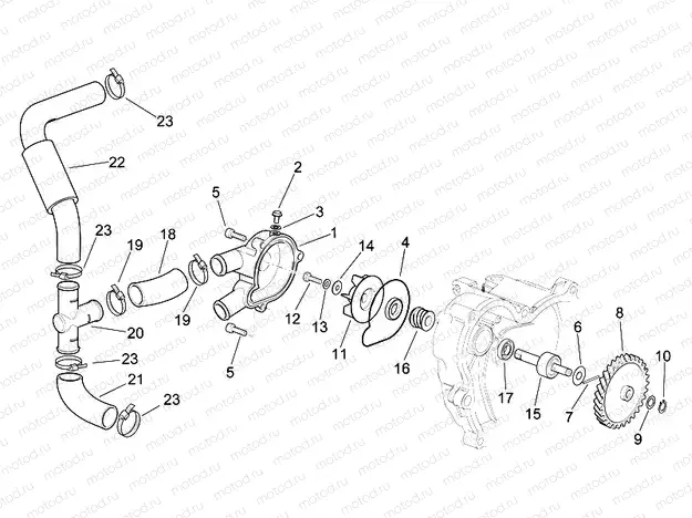Water pump