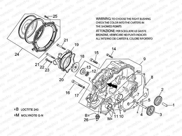 Water pump