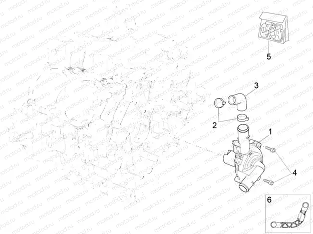 Water pump