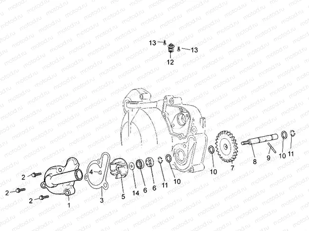 Water pump