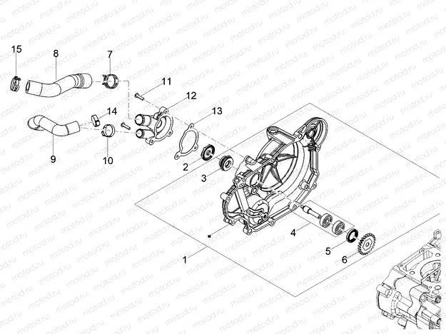 Water pump
