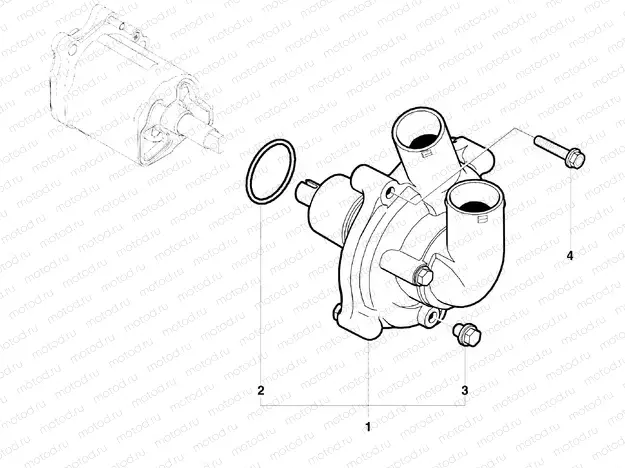 Water Pump