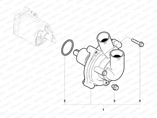 Water Pump