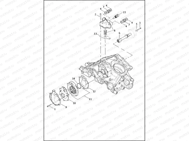 WATER PUMP AND THERMOSTAT