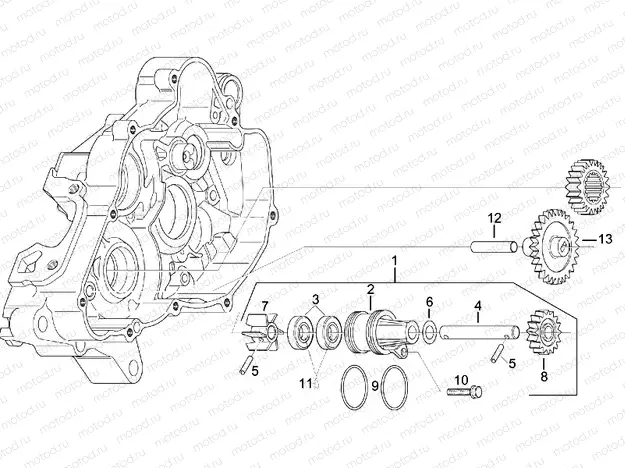 Water pump assy