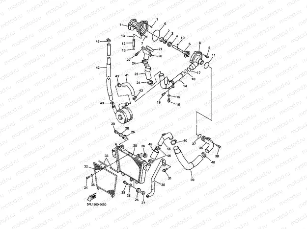 WATER PUMP & RADIATOR