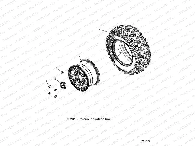 WHEELS | WHEELS, REAR - G20GAE99F2/EFS/BFM/BCM/SFS/SC2 (701377)