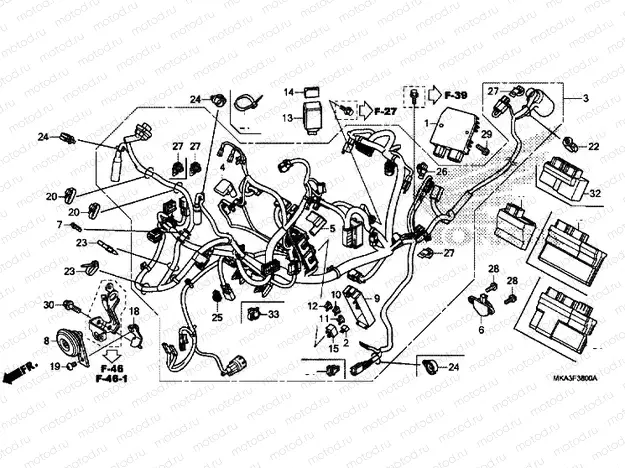 WIRE HARNESS