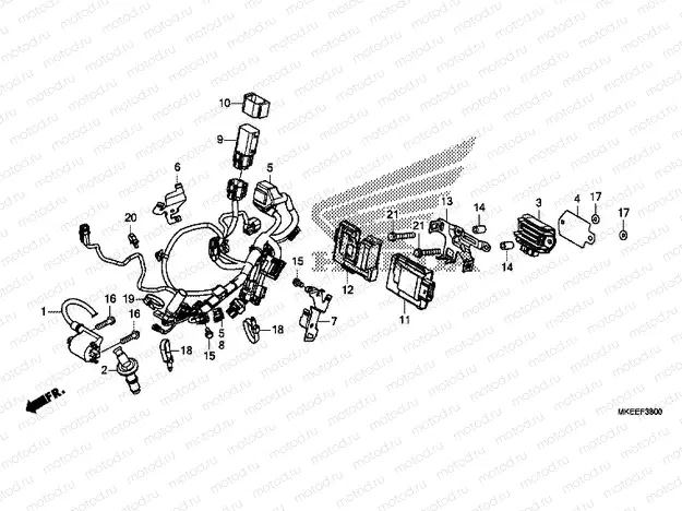 WIRE HARNESS