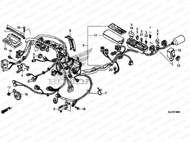 WIRE HARNESS