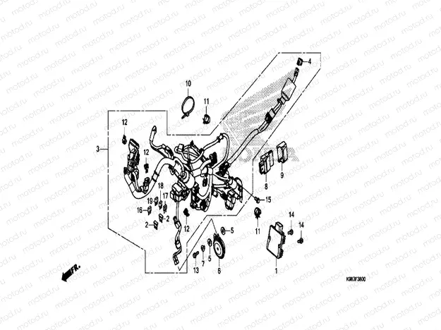 WIRE HARNESS