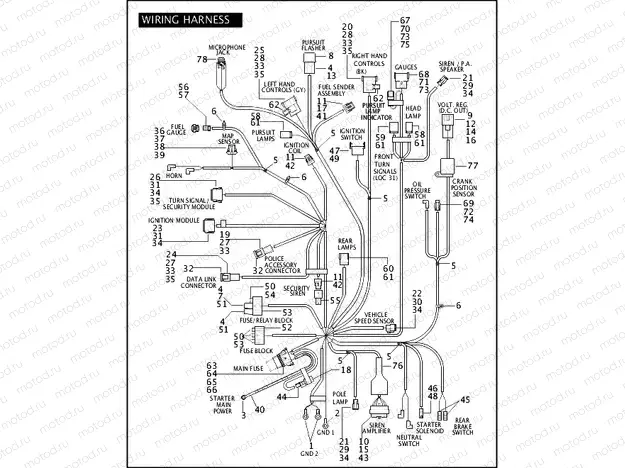 WIRING HARNESS (1 OF 2)