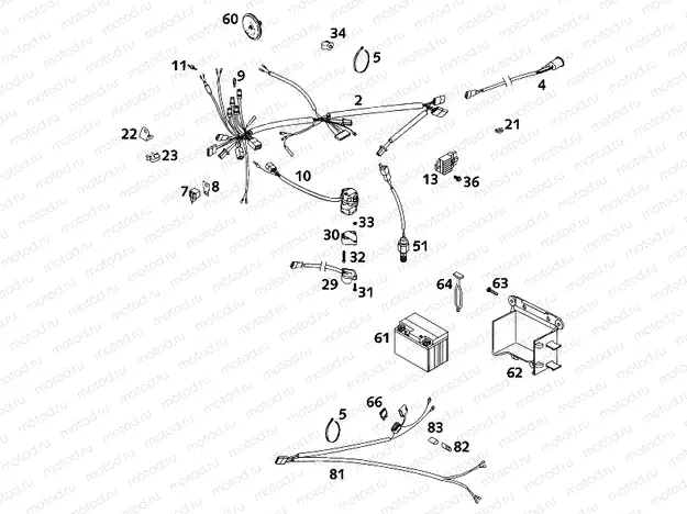 WIRING HARNESS
