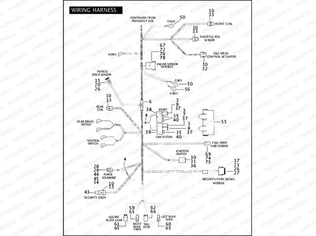 WIRING HARNESS (2 OF 2)